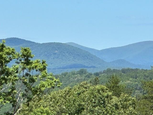 1024 Bear Paw Ridge Dahlonega, GA 30533 - Photo 9 of 41 a view of a lush green field with a mountain in the background