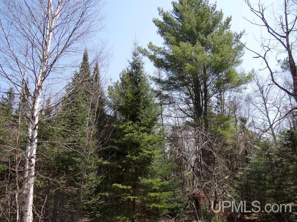 53502 Post Road Lake Linden, MI 49945 - Photo 20 of 36 Gallery Image 20