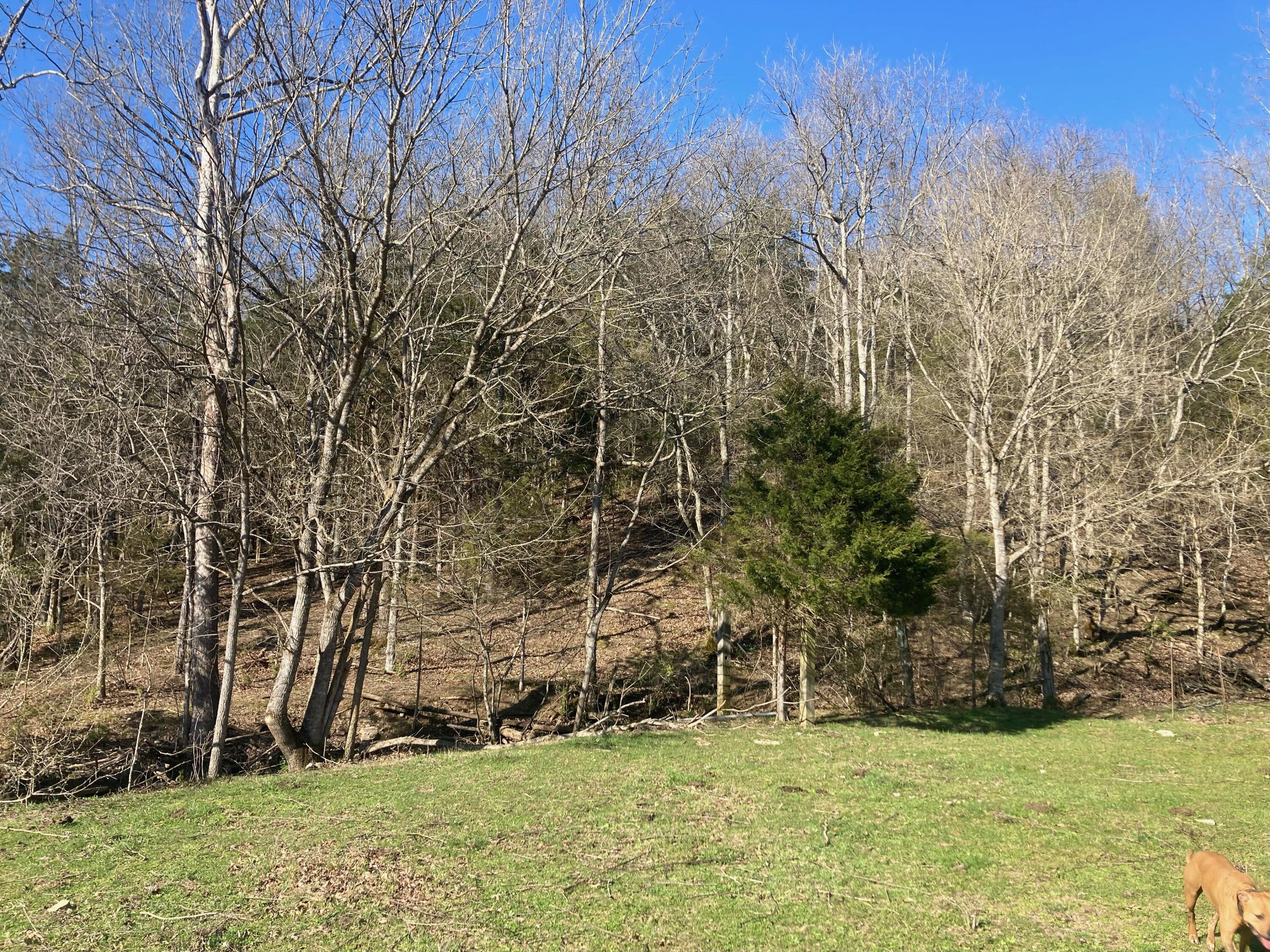1026 Crowe Ridge Road Winchester, KY 40391 - Photo 12 of 17 IMG_3488