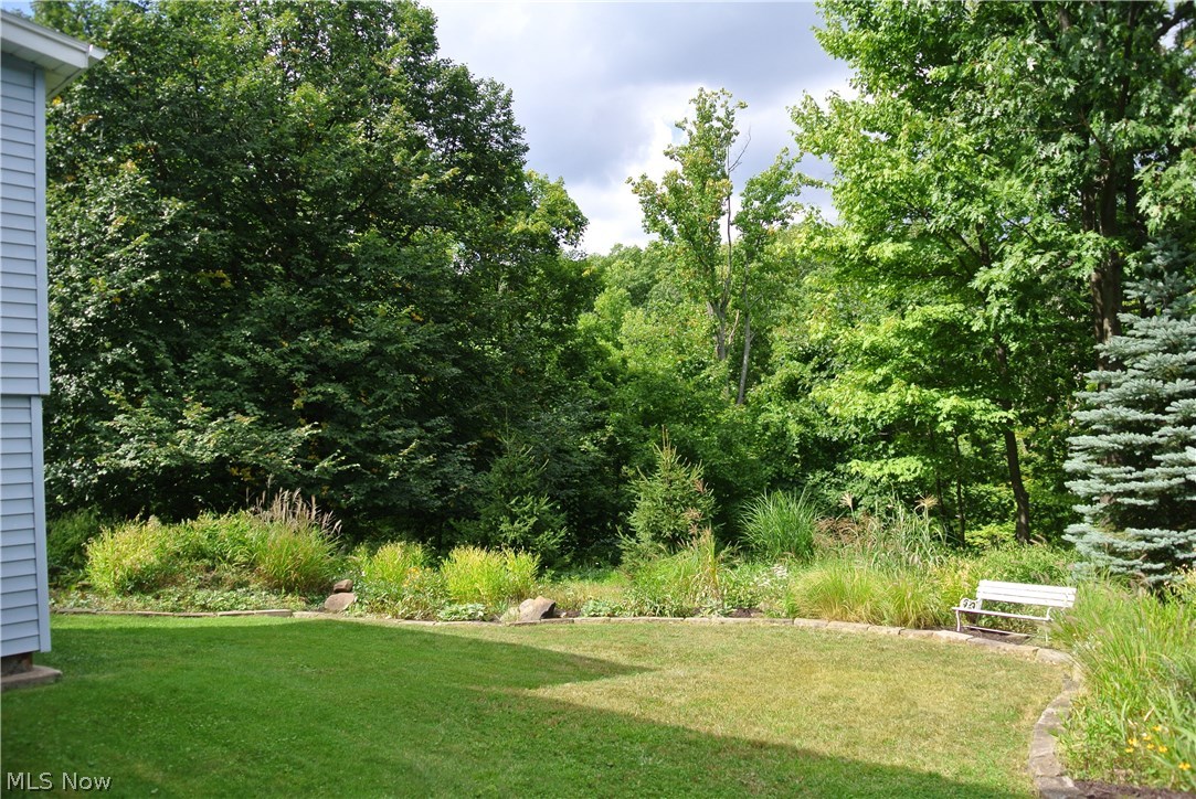 2945 Hillside Road Independence, OH 44131 - Photo 34 of 35 Wooded ravine views
