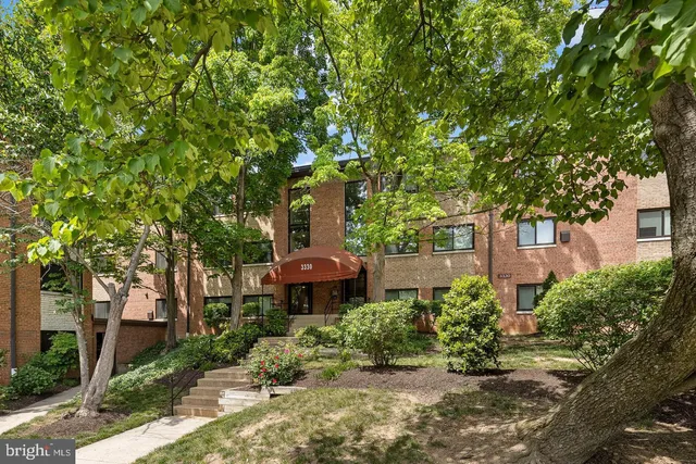 front view of a house with a tree