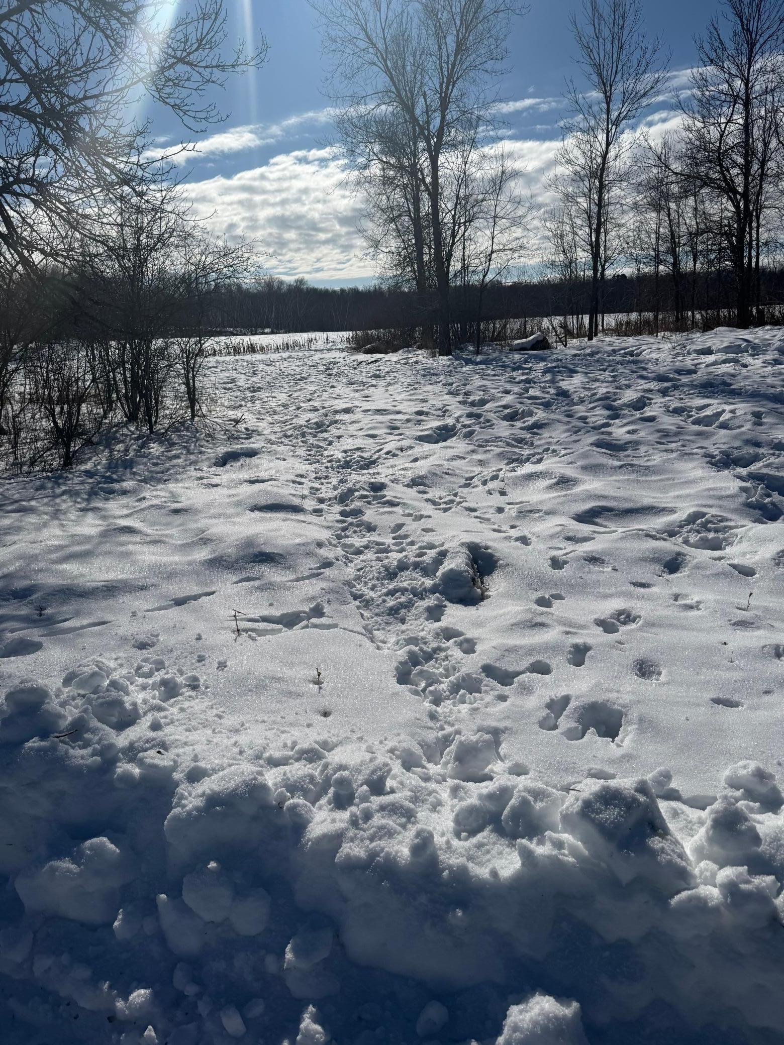 3231 Highway 65 Mora, MN 55051 - Photo 24 of 82