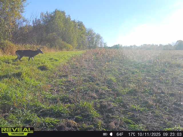 3231 Highway 65 Mora, MN 55051 - Photo 47 of 82