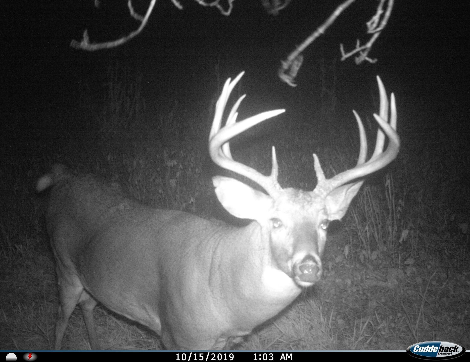 3231 Highway 65 Mora, MN 55051 - Photo 49 of 82