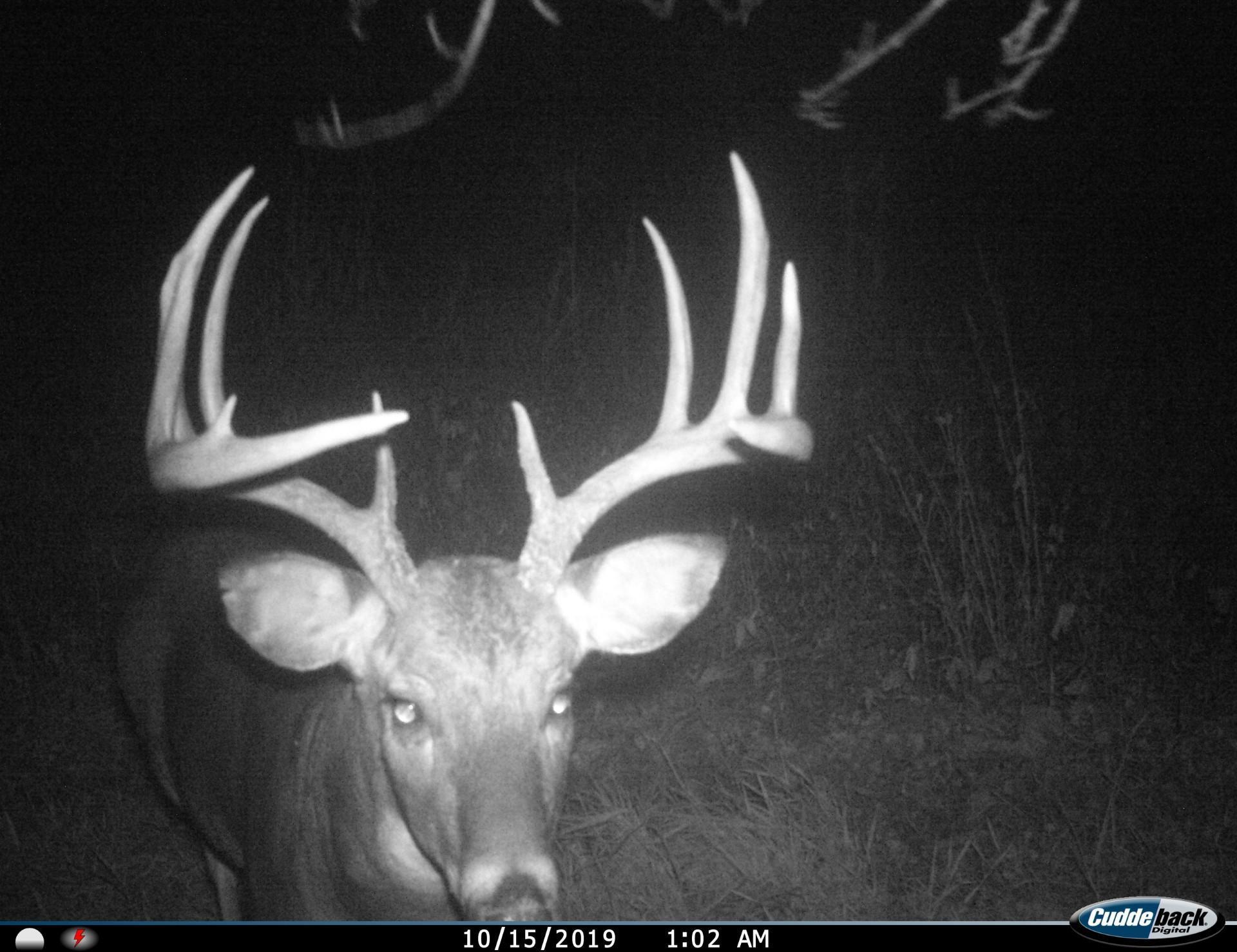 3231 Highway 65 Mora, MN 55051 - Photo 51 of 82