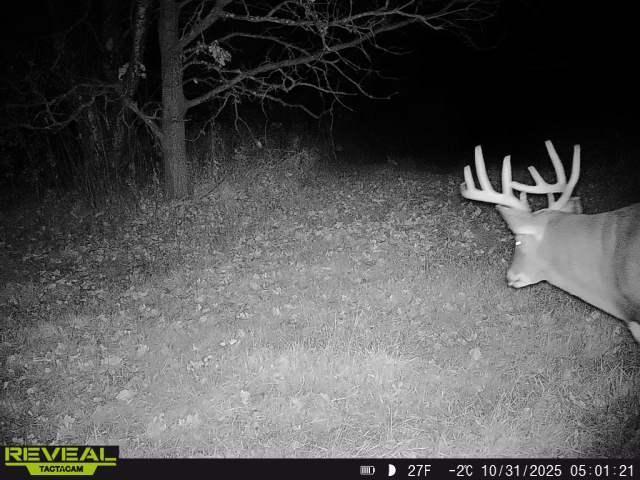 3231 Highway 65 Mora, MN 55051 - Photo 54 of 82