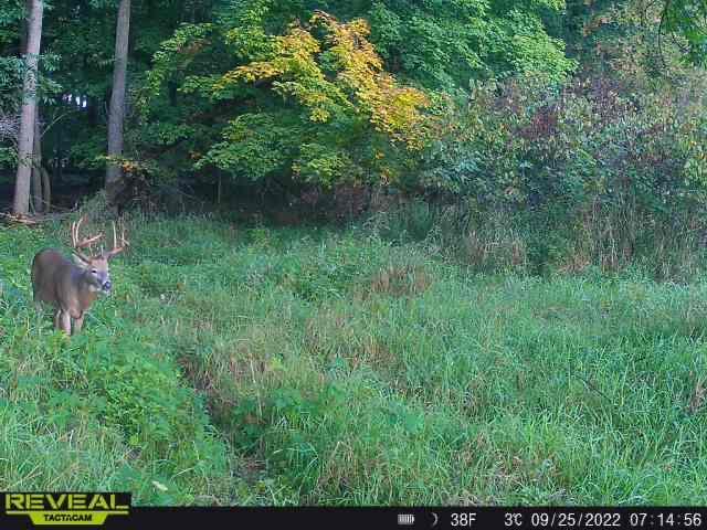 3231 Highway 65 Mora, MN 55051 - Photo 55 of 82