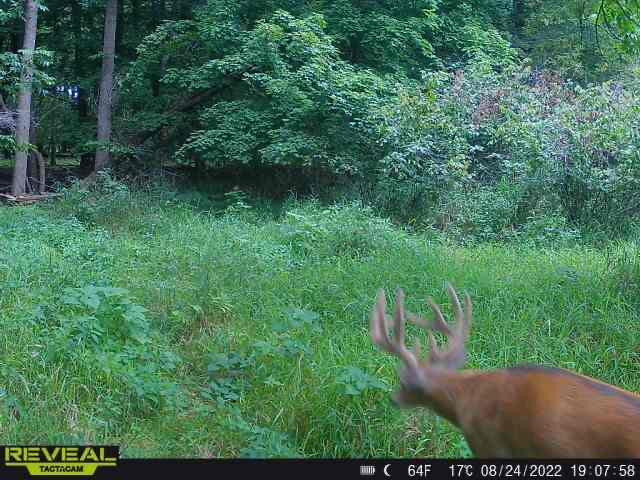 3231 Highway 65 Mora, MN 55051 - Photo 56 of 82