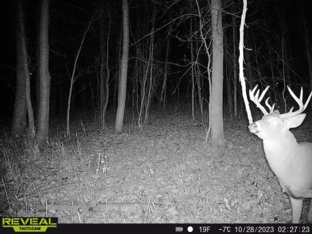 3231 Highway 65 Mora, MN 55051 - Photo 61 of 82