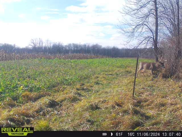 3231 Highway 65 Mora, MN 55051 - Photo 64 of 82