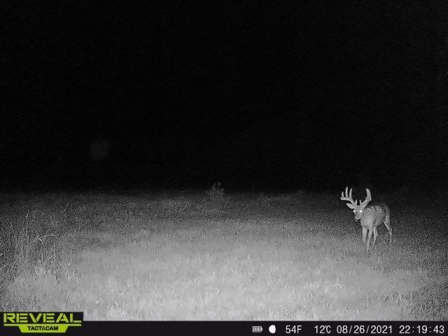 3231 Highway 65 Mora, MN 55051 - Photo 65 of 82