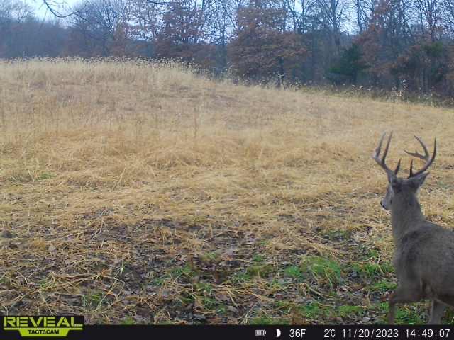 3231 Highway 65 Mora, MN 55051 - Photo 66 of 82