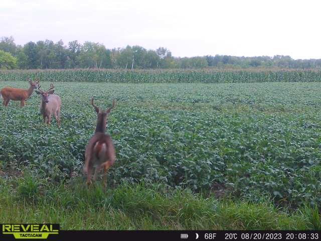 3231 Highway 65 Mora, MN 55051 - Photo 67 of 82