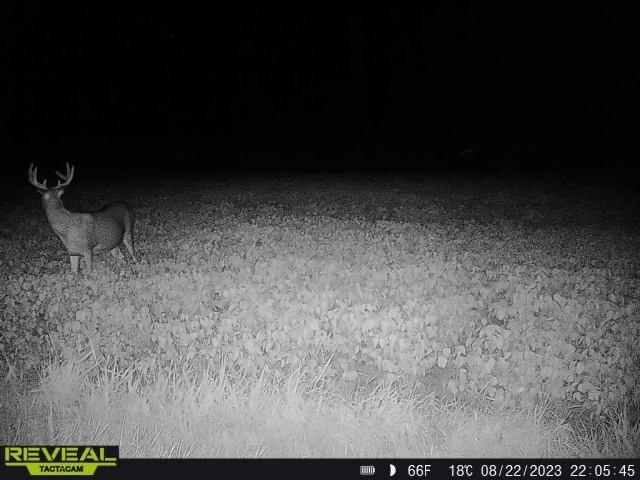 3231 Highway 65 Mora, MN 55051 - Photo 68 of 82