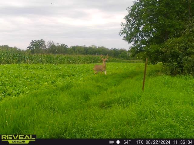 3231 Highway 65 Mora, MN 55051 - Photo 69 of 82