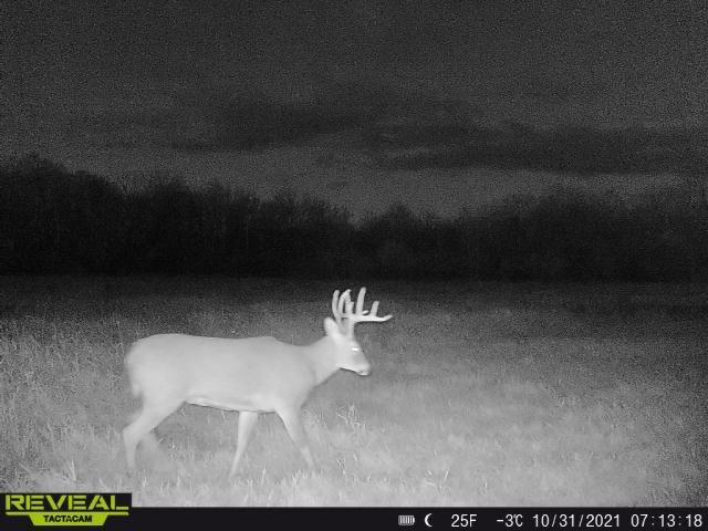 3231 Highway 65 Mora, MN 55051 - Photo 71 of 82