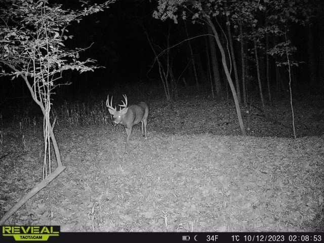 3231 Highway 65 Mora, MN 55051 - Photo 72 of 82