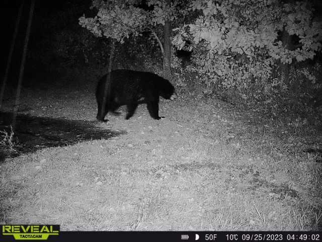 3231 Highway 65 Mora, MN 55051 - Photo 73 of 82