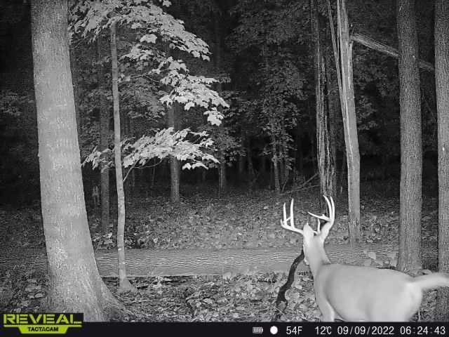 3231 Highway 65 Mora, MN 55051 - Photo 79 of 82