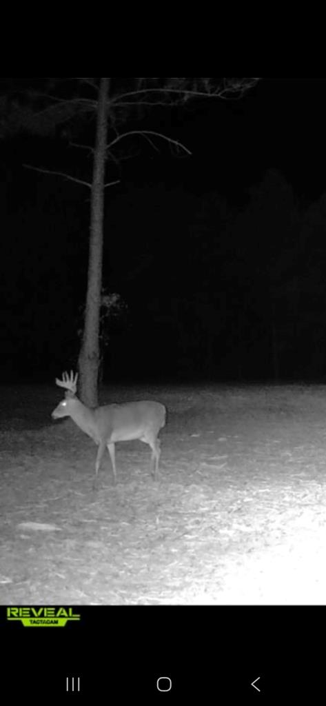 20-ac Coot Adams Road Ashford, AL 36312 - Photo 25 of 28