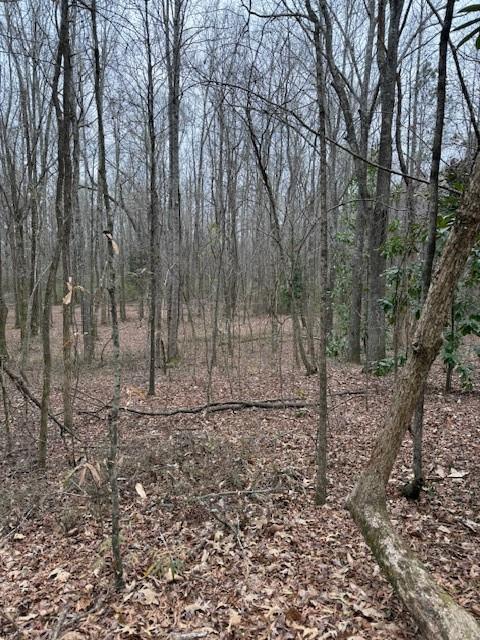 0 Center Road Southeast Cartersville, GA 30121 - Photo 4 of 14 a view of a dry yard with trees