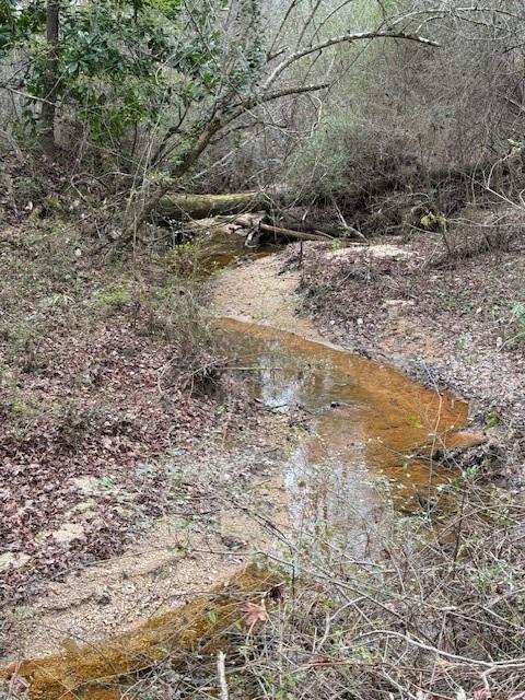 0 Center Road Southeast Cartersville, GA 30121 - Photo 6 of 14 a view of a dry yard with wooden fence