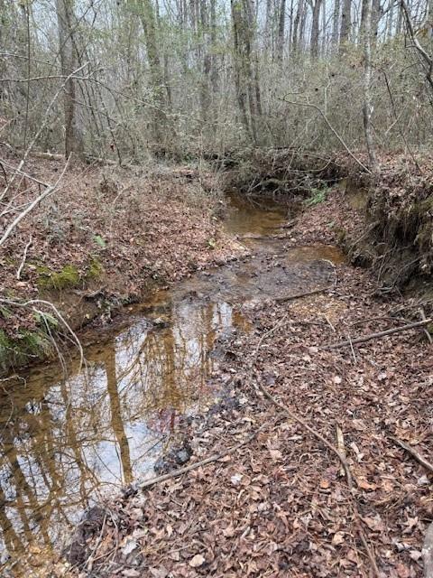 0 Center Road Southeast Cartersville, GA 30121 - Photo 7 of 14 a view of backyard with green space