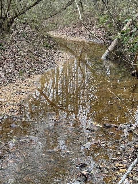 0 Center Road Southeast Cartersville, GA 30121 - Photo 9 of 14