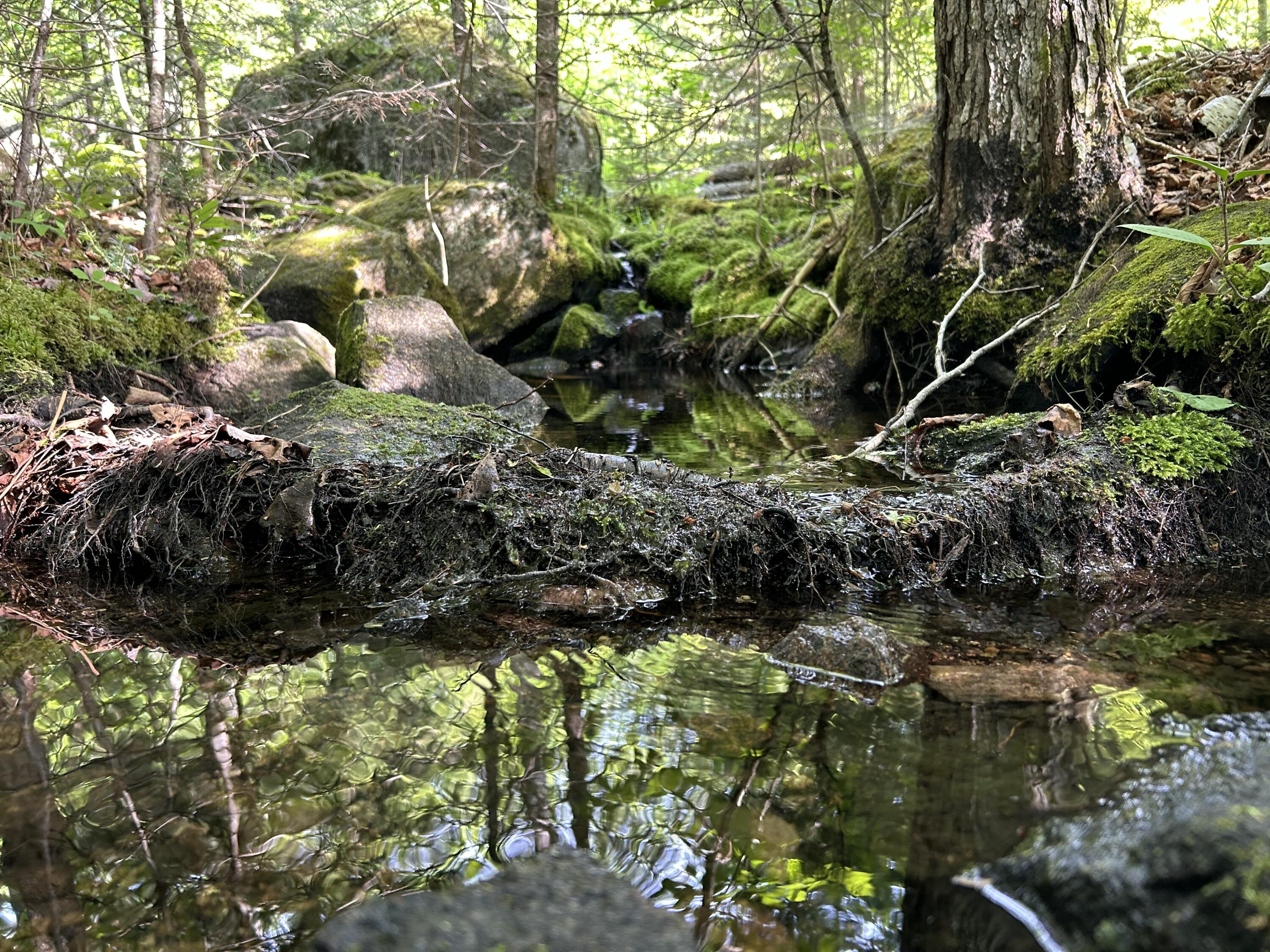 M5-l13 Clark Road Prospect, ME 04981 - Photo 22 of 33 IMG_8810