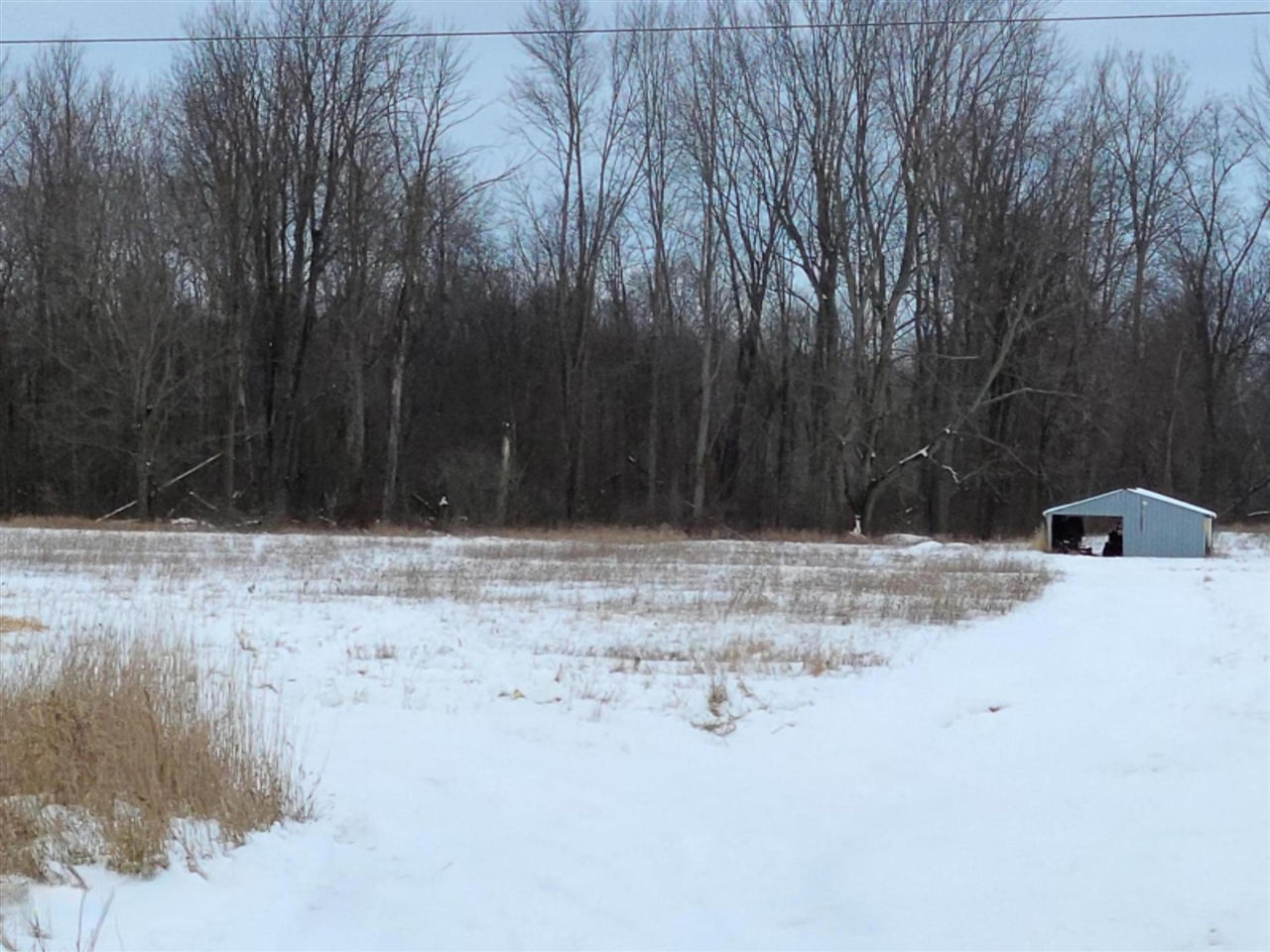 10089 East Stanton Road Crystal, MI 48818 - Photo 2 of 3