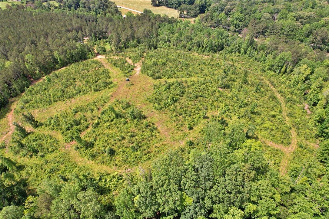 Lot 6 Simms School Road Central, SC 29630 - Photo 10 of 17