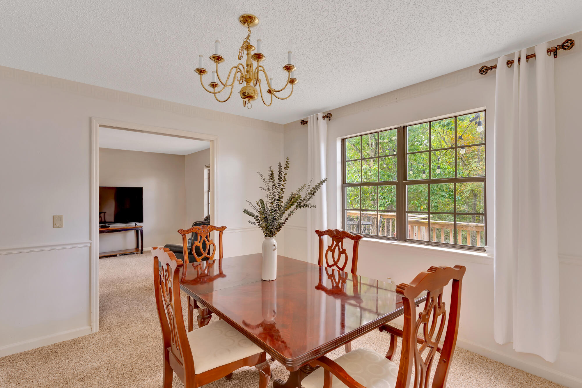 8827 Hurricane Ridge Road Chattanooga, TN 37421 - Photo 18 of 51 8827-Hurricane-Ridge-Rd-MLS-Photos-14