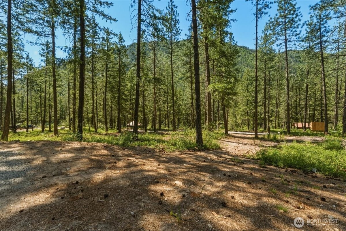 2350 First Crk Road Chelan, WA 98816 - Photo 30 of 39 a view of a park with lots of trees