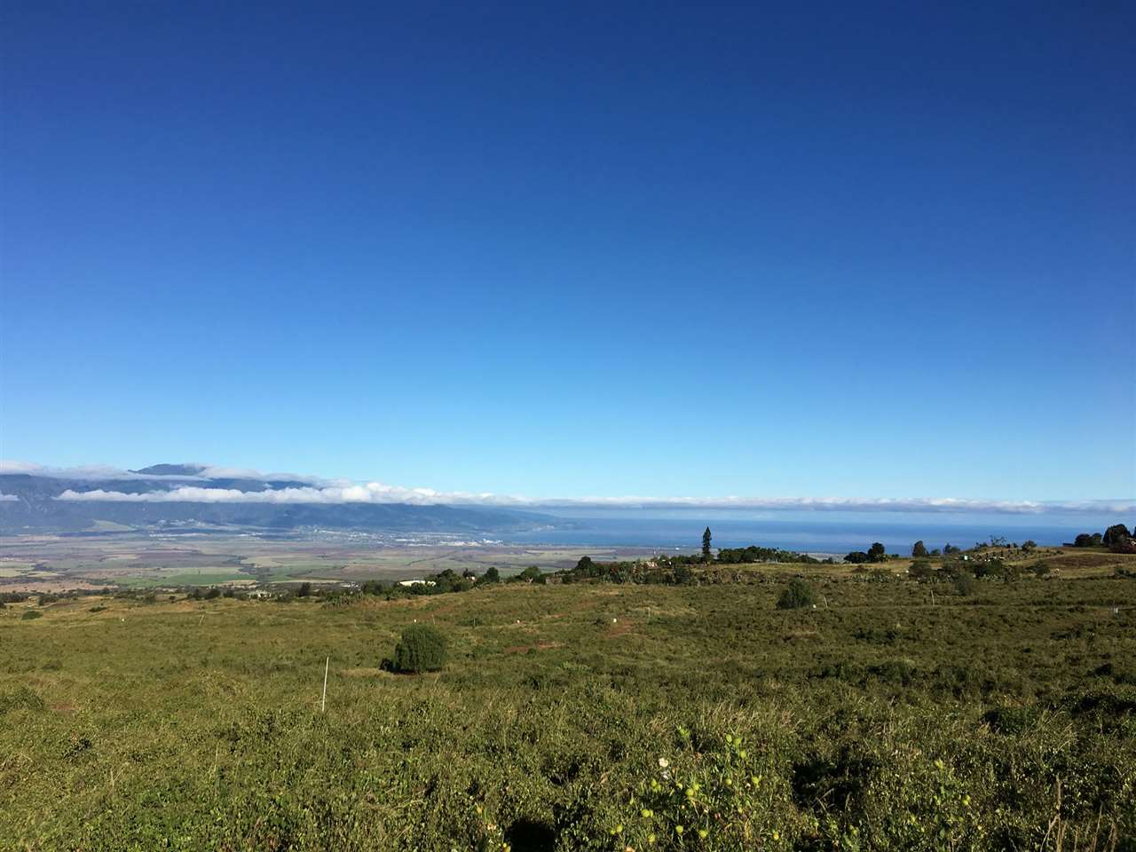 180 Kula Io Road, Unit LOT #35 Kula, HI 96790 - Photo 4 of 17