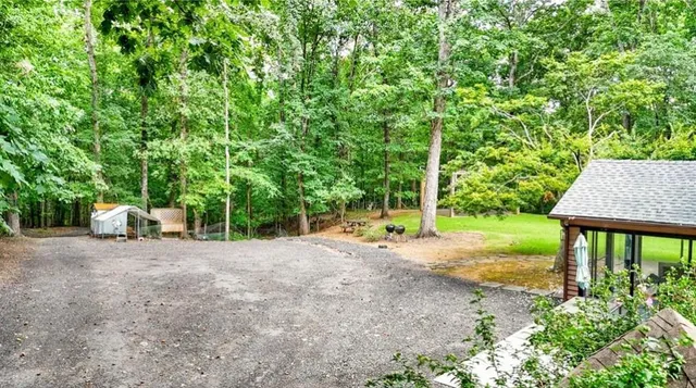 a view of a yard with plants and trees