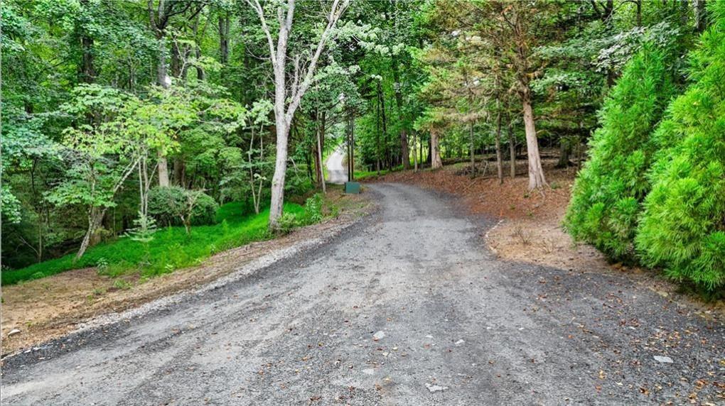 451 Nichols Drive Suwanee, GA 30024 - Photo 8 of 22 a view of a yard with plants and trees