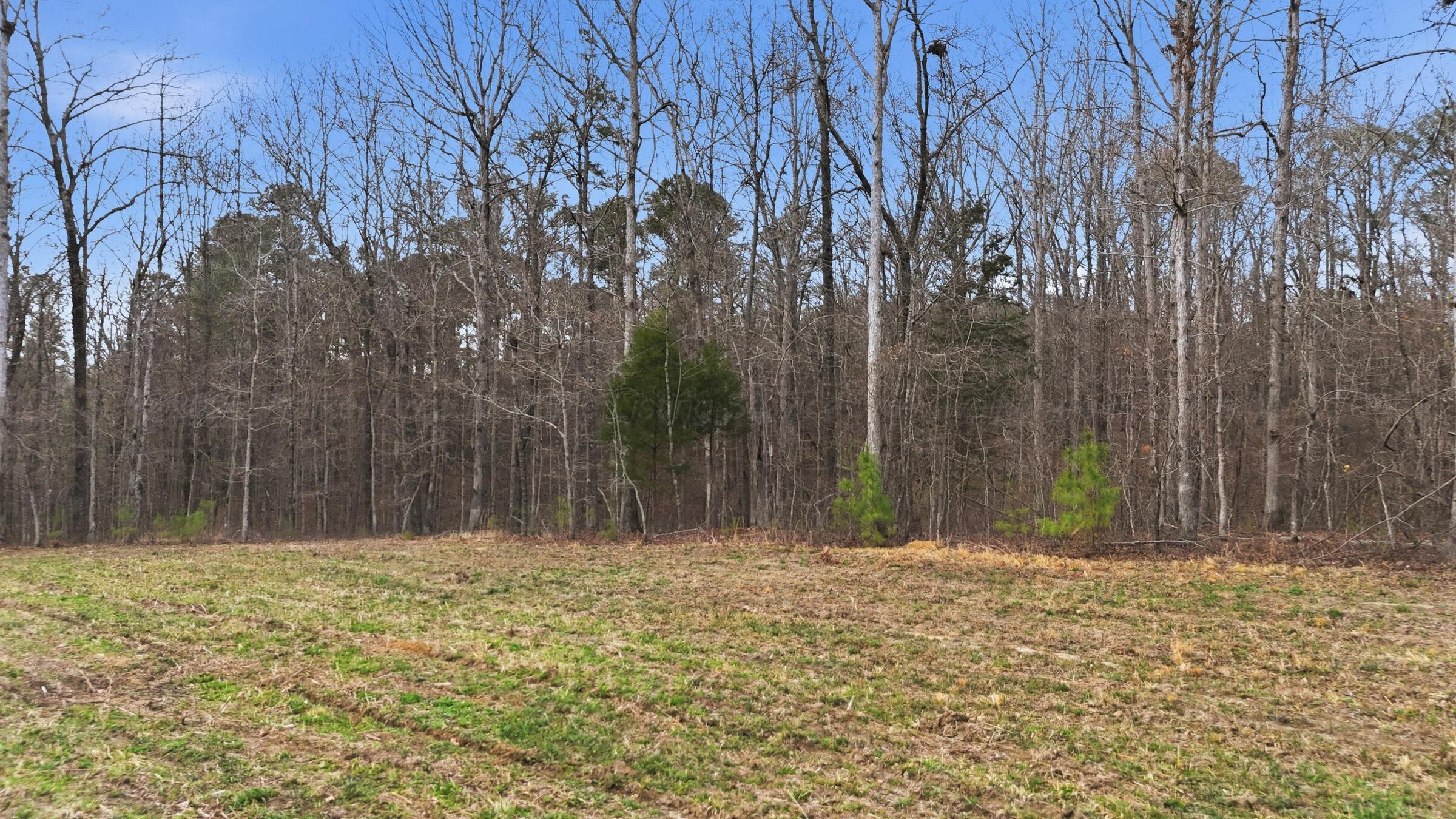 Harbor Loop Jasper, AL 35504 - Photo 6 of 17 Harbor_017_(2400)