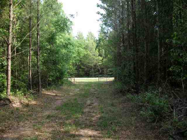 1709 Northeast Beulah Church Road Lee, FL 32059 - Photo 18 of 18 Gallery Image 18