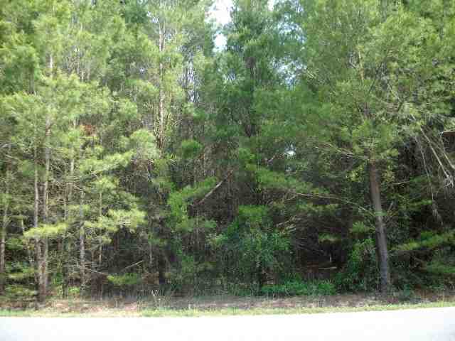 1709 Northeast Beulah Church Road Lee, FL 32059 - Photo 2 of 18 Gallery Image 2