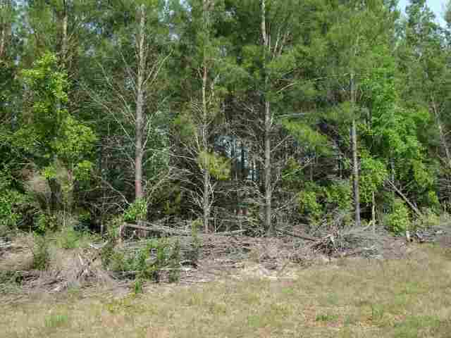 1709 Northeast Beulah Church Road Lee, FL 32059 - Photo 8 of 18 Gallery Image 8