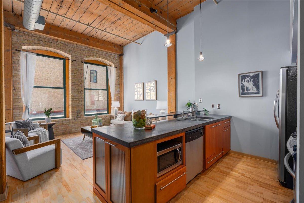 210 North 2nd Street, Unit 206 Minneapolis, MN 55401 - Photo 9 of 23