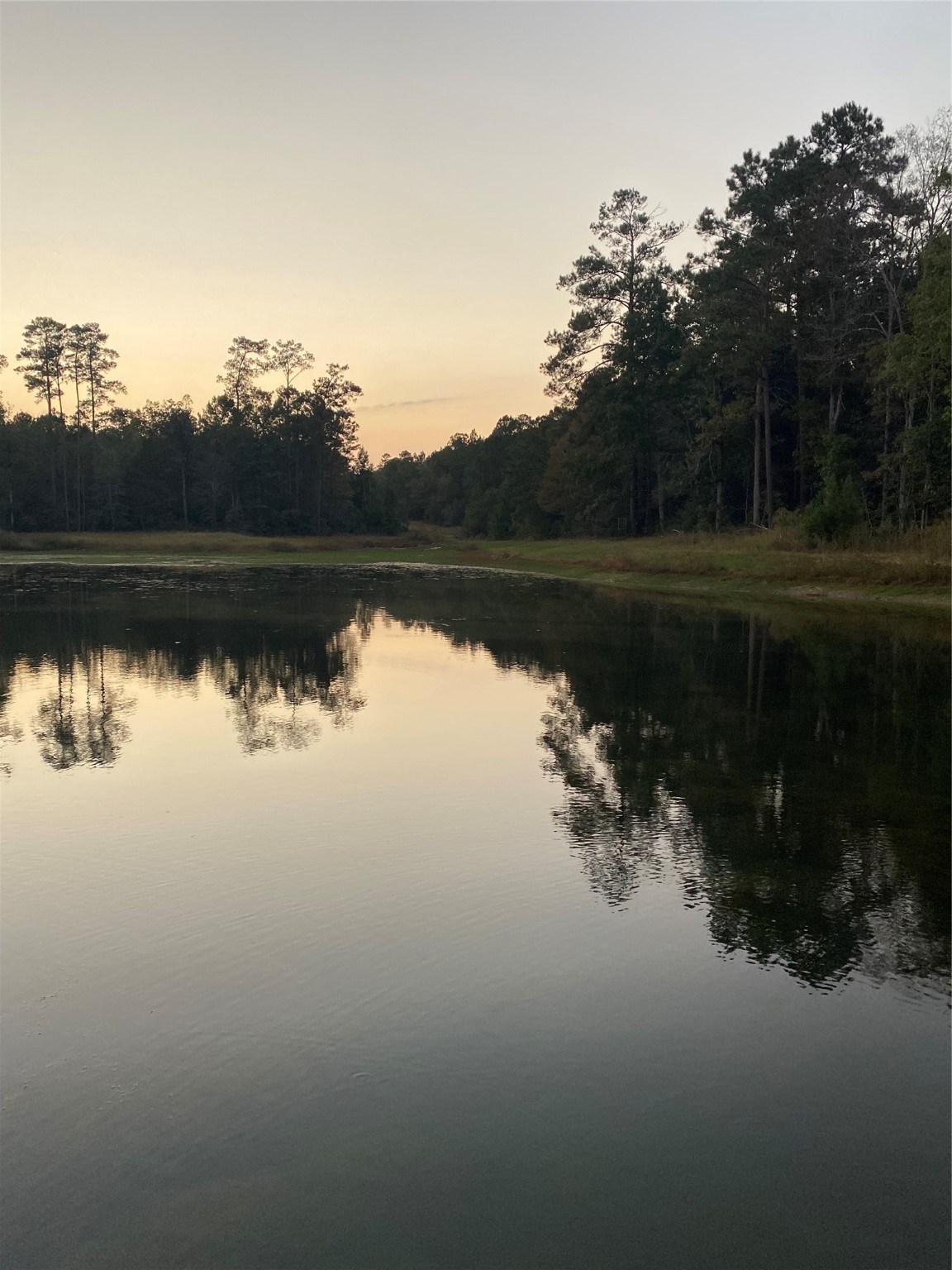 983 County Road, Unit 4350 Woodville, TX 75979 - Photo 17 of 18 a view of lake with green space