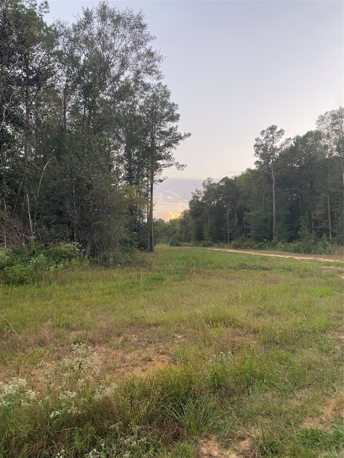983 County Road, Unit 4350 Woodville, TX 75979 - Photo 3 of 18 a view of outdoor space and yard