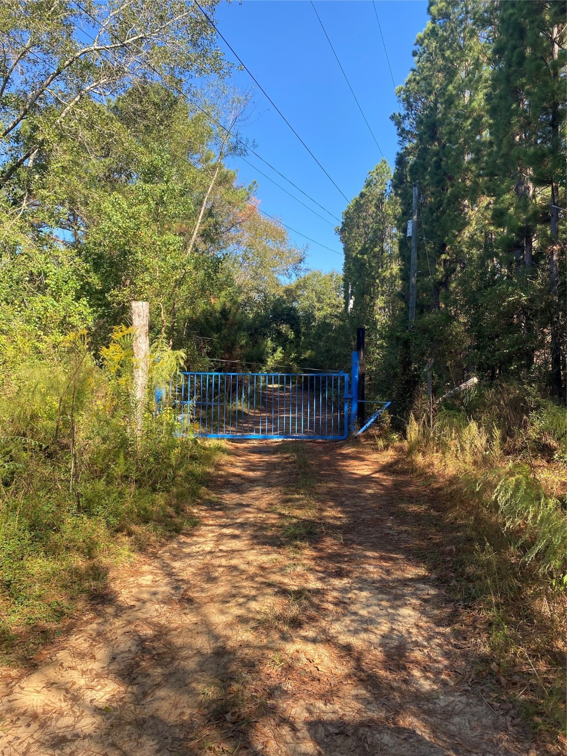 983 County Road, Unit 4350 Woodville, TX 75979 - Photo 5 of 18 a view of a wooden house with a yard