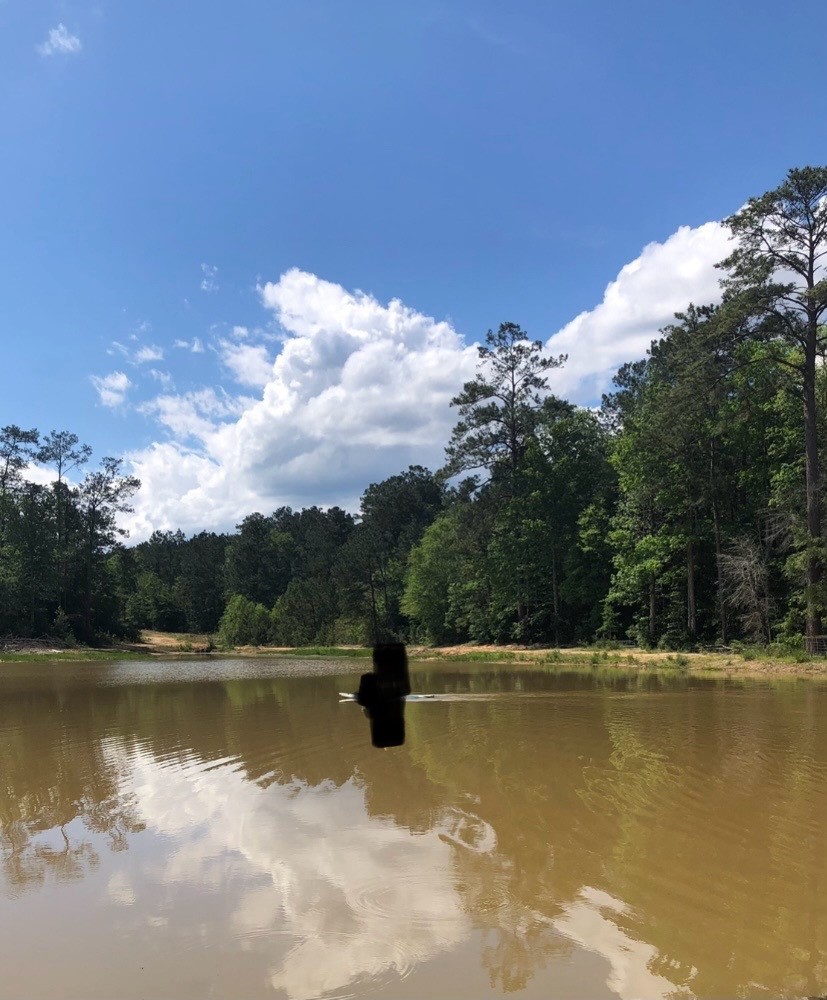 983 County Road, Unit 4350 Woodville, TX 75979 - Photo 7 of 18