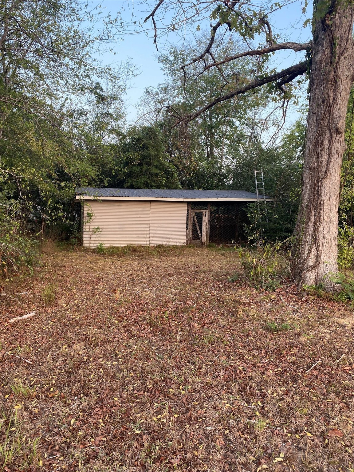 983 County Road, Unit 4350 Woodville, TX 75979 - Photo 10 of 18 a view of a house with a yard and large tree