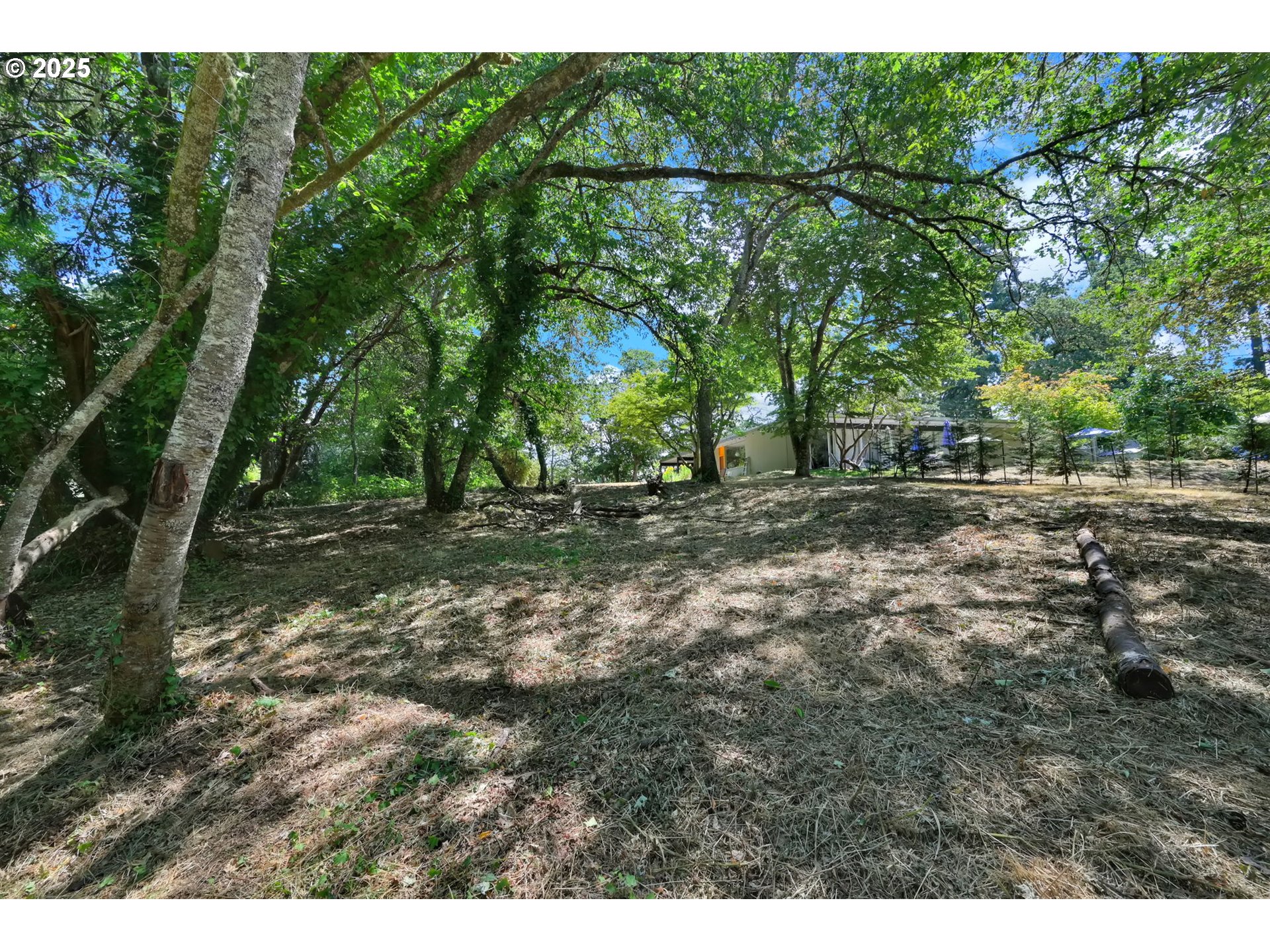 a backyard of a house with lots of green space