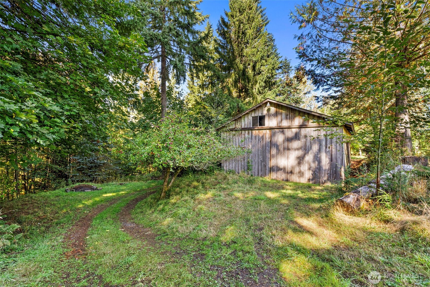 299 Conrad Road Winlock, WA 98596 - Photo 29 of 40 a backyard of a house with lots of green space