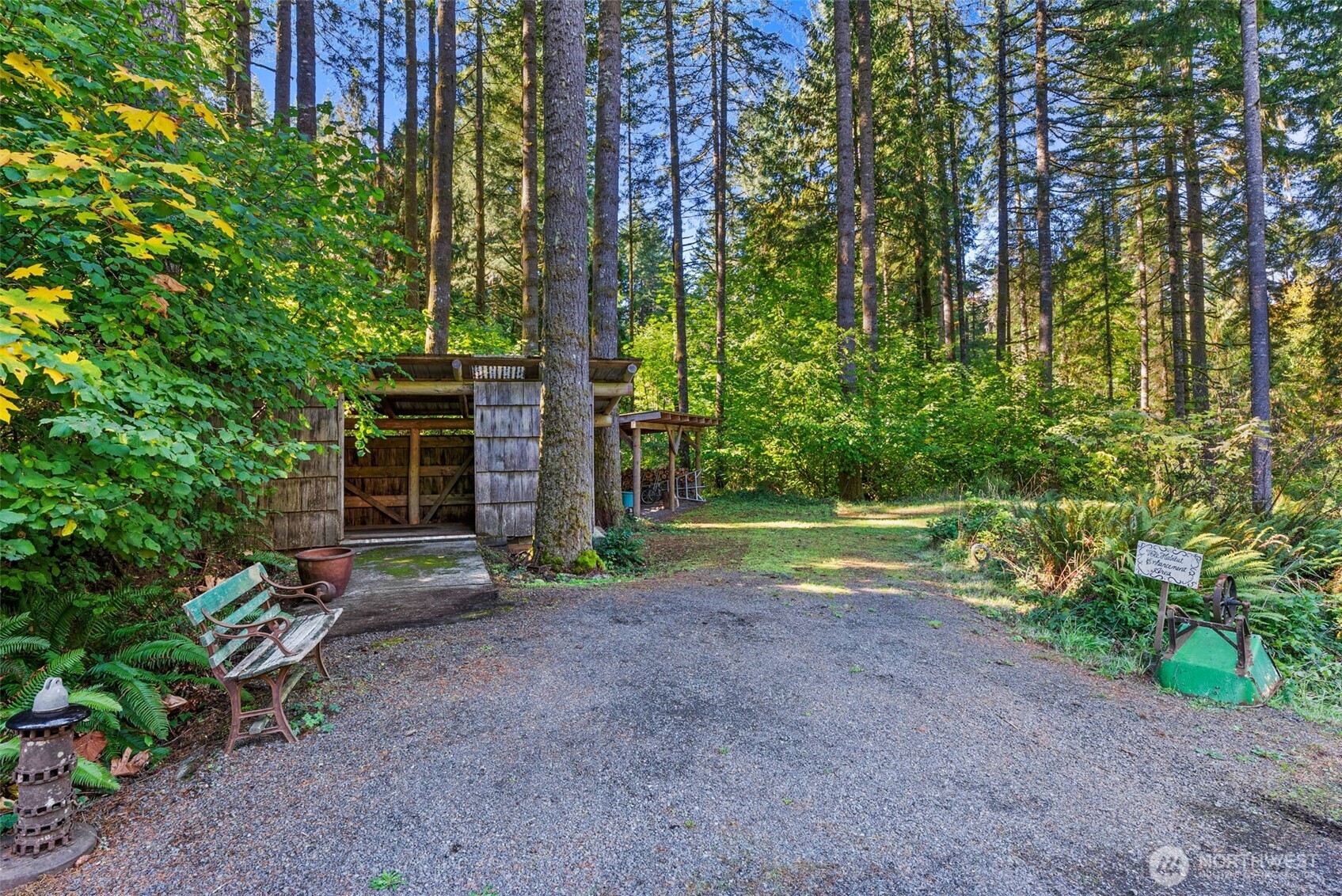 299 Conrad Road Winlock, WA 98596 - Photo 30 of 40 a view of a backyard with plants and large trees