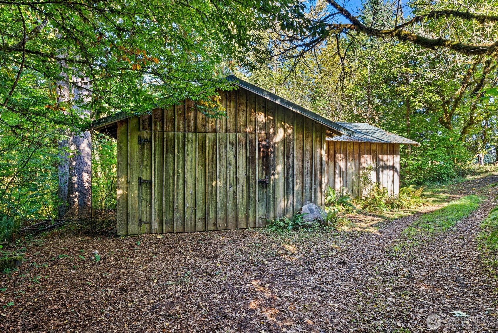 299 Conrad Road Winlock, WA 98596 - Photo 33 of 40 a backyard of a house with plants and large trees